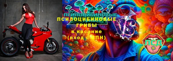 альфа пвп Алексеевка