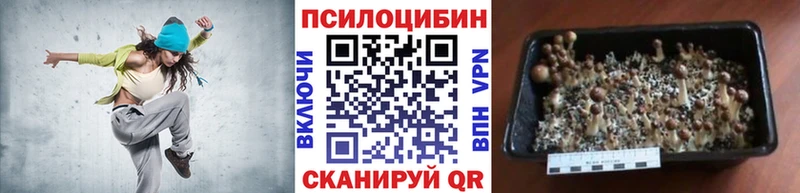 Галлюциногенные грибы MAGIC MUSHROOMS  Абаза 